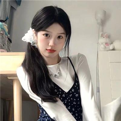 燕山日记封面